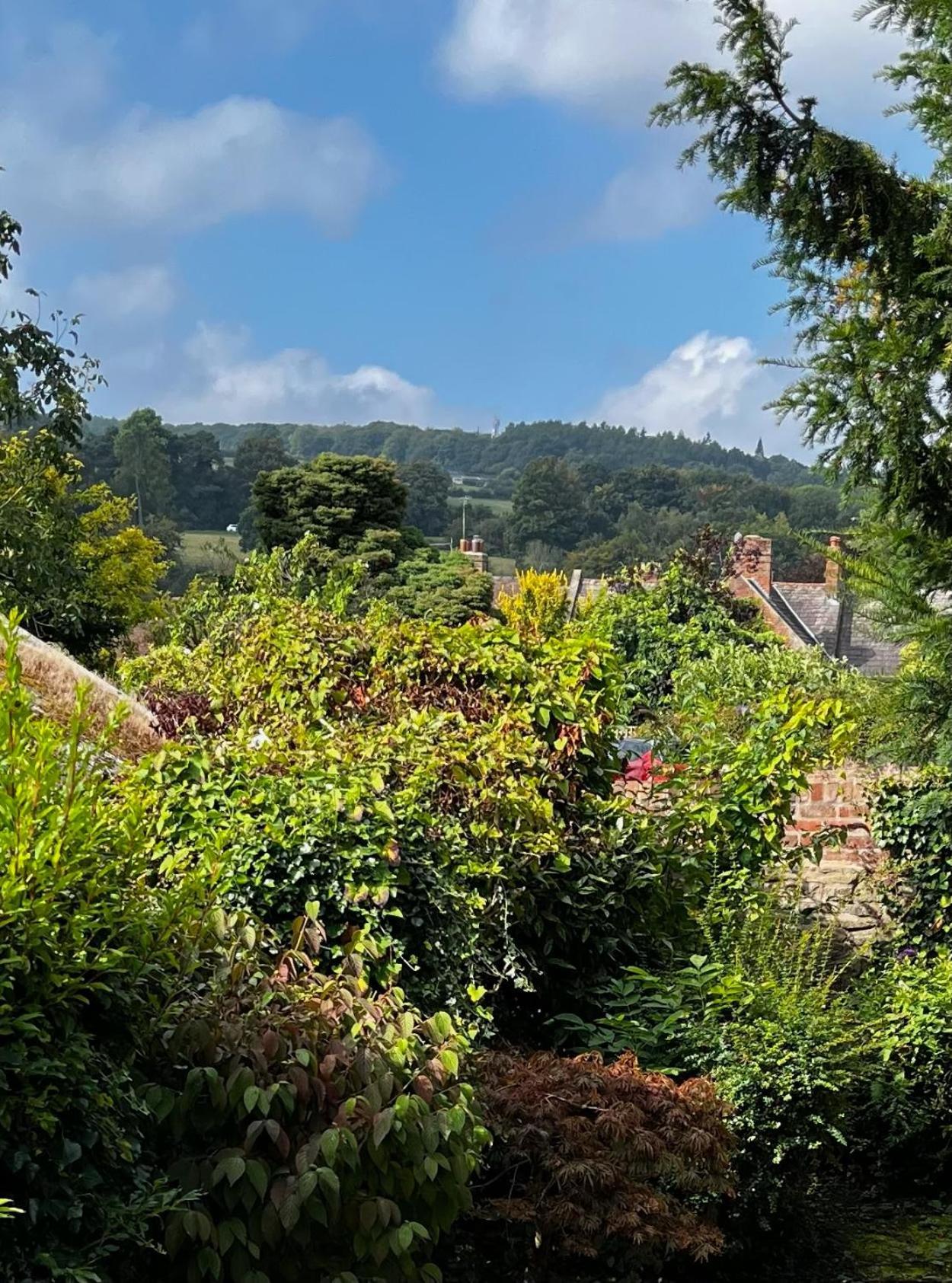 Flower Cottage By Ludlow Castle With Onsite Parking المظهر الخارجي الصورة