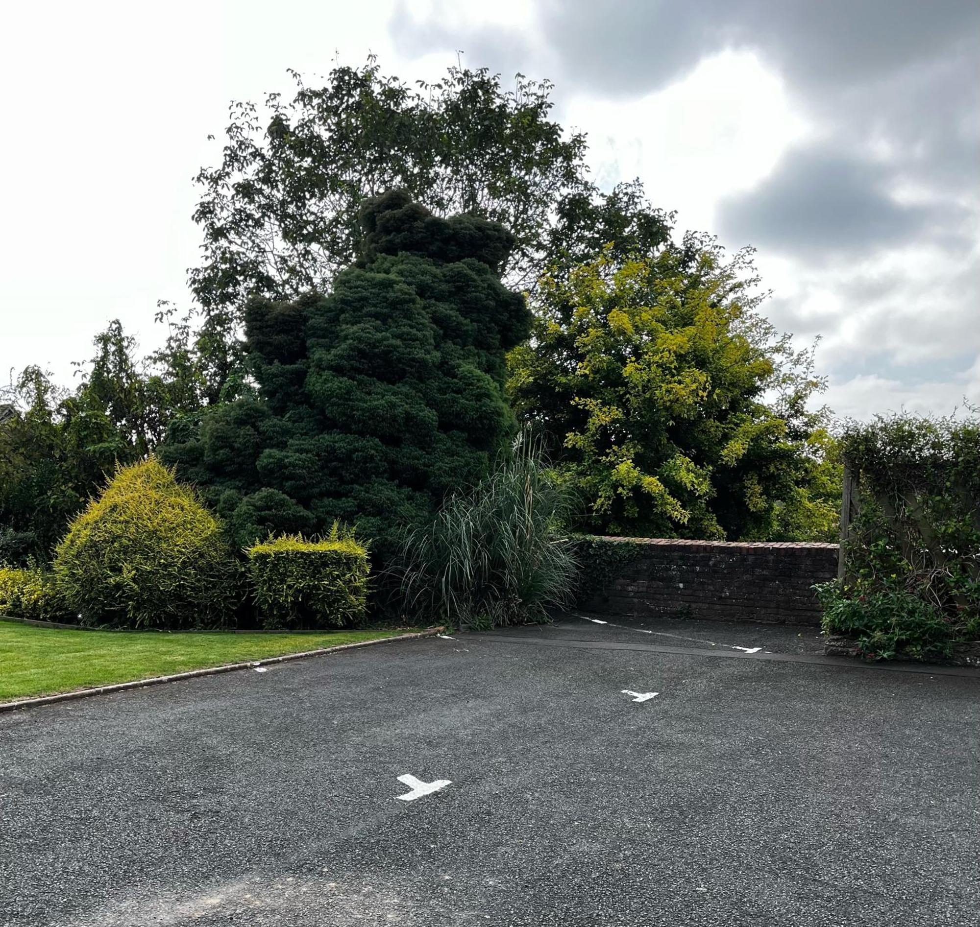 Flower Cottage By Ludlow Castle With Onsite Parking المظهر الخارجي الصورة